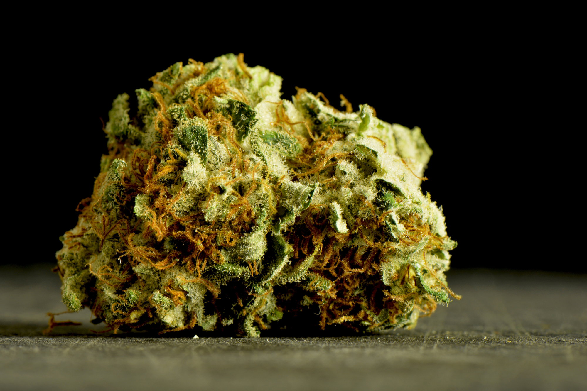 interesting facts about weed