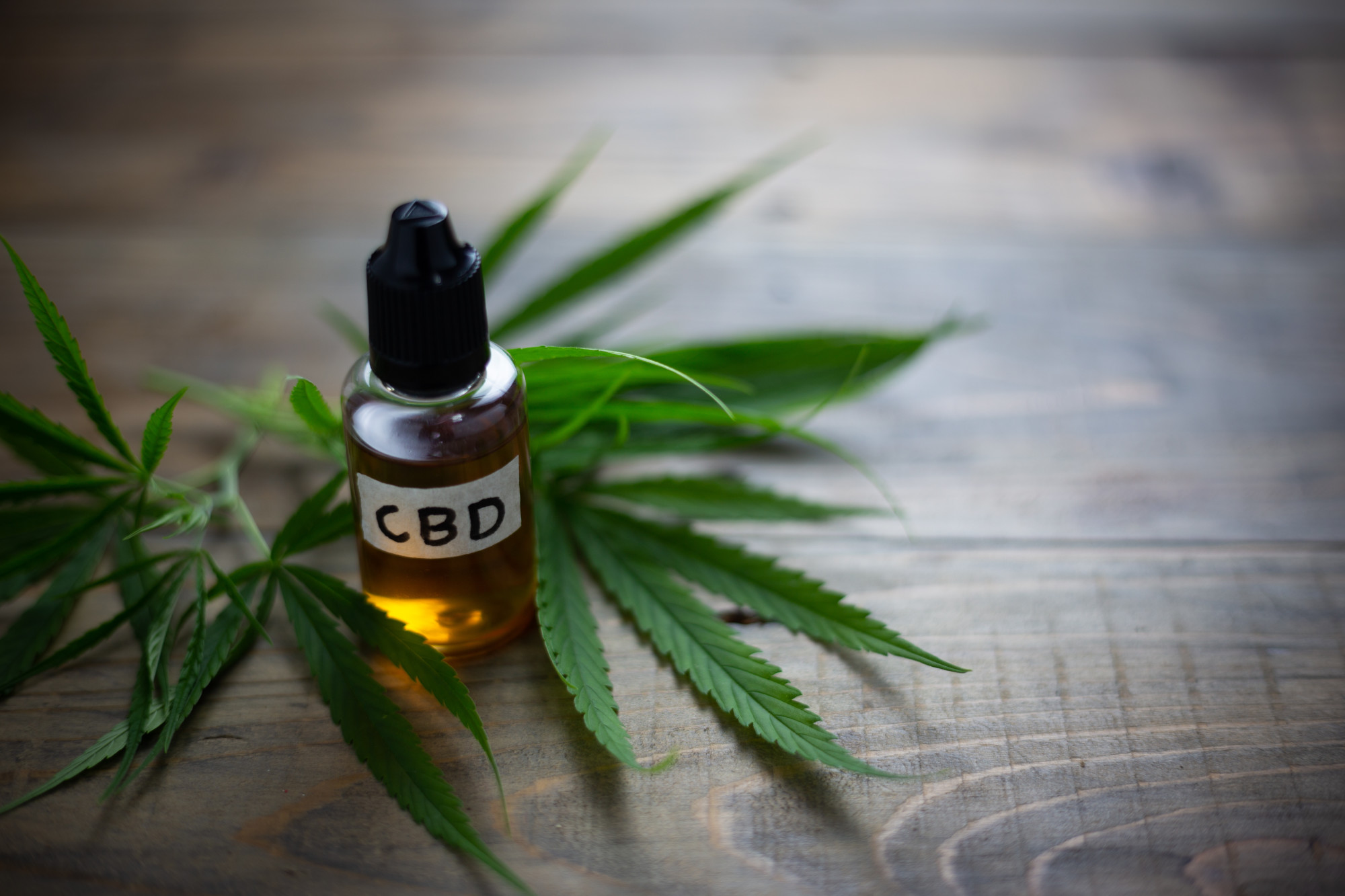 vial of CBD oil with cannabis leaves